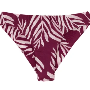 Bottom Palms-Vine Nice