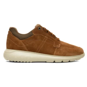 Sapatilhas Camport Sport-Pro Lace Up Castanho