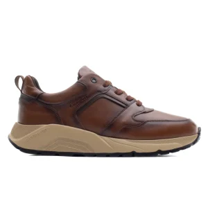 Sapatilhas Gravlight Camel