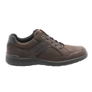 Sapatilhas Softwalk Climate Control Castanho Escuro