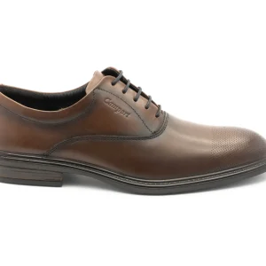 Sapatos New Nobleman Castanho