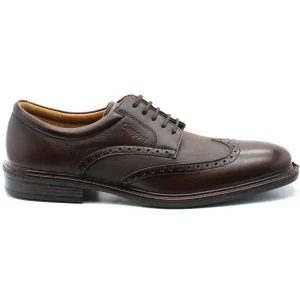 Sapatos New Nobleman Stretch Castanho Escuro